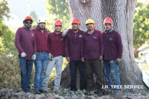 J.R. Tree Service